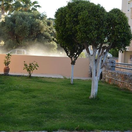 Cosy Apartments Daphne ذاراتسو المظهر الخارجي الصورة